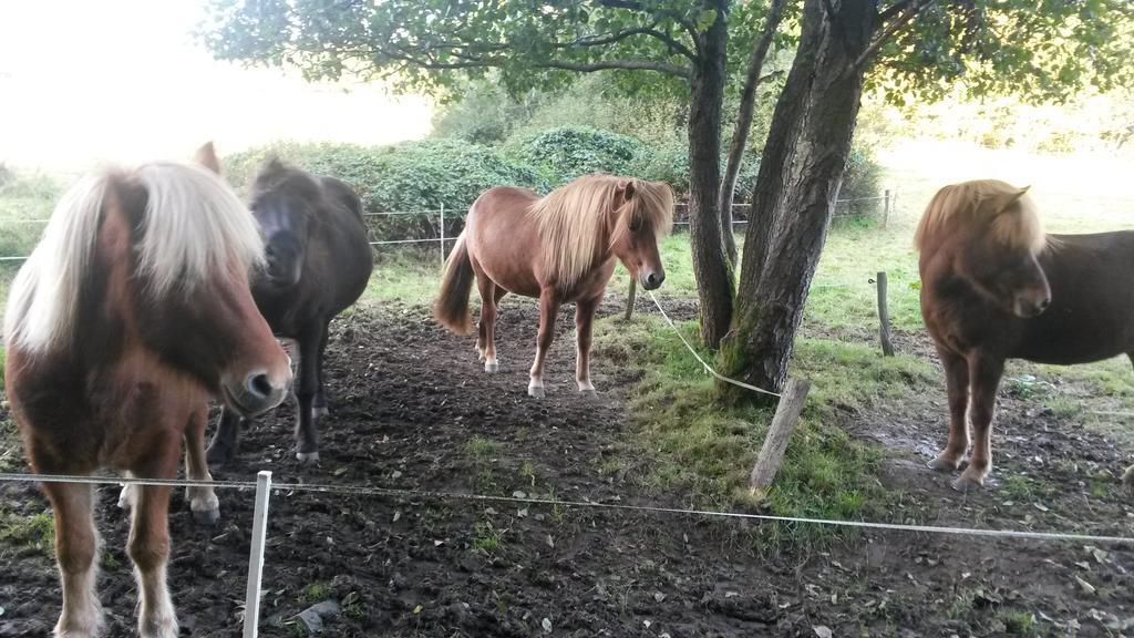 Ferienwohnung Am Zeitenweg Windeck Zewnętrze zdjęcie